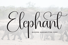 Elephant | Script Font