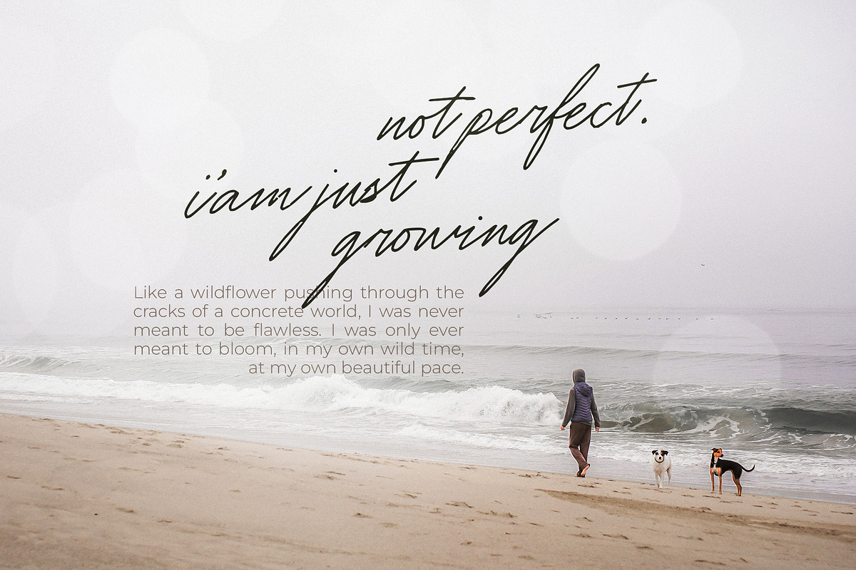 Joseph Watson - Signature Script, a Script Font by Bale Type (Photo 4 of 9)