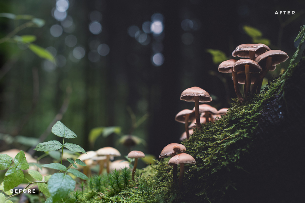 Moody Lightroom Presets - Landscapes, an Action Add-On by PhotoMarket (Photo 9 of 35)