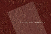 Embossed Leaf Autumn Backgrounds, a Background Graphic by Anzhelika (Thumbnail 5 of 12)