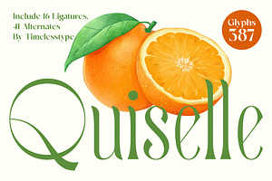 Quiselle Elegant Display Serif