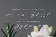 Que Sera Monoline Script, a Script Font by INKMETHIS (Thumbnail 3 of 6)