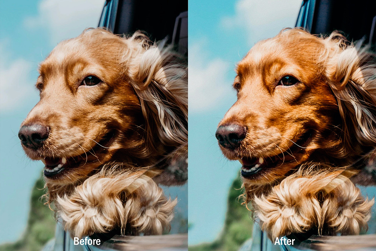 15 Kodak Portra Lightroom Presets, a Preset Add-On by VividFrame (Photo 8 of 10)