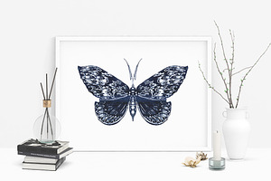 Butterfly Sketch Collection