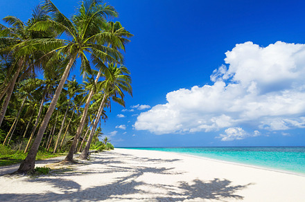 Beauty beach stock photo containing boracay and tree, a Nature Photo by saiko3p