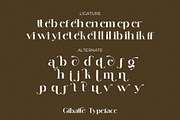Gibatte Modern Serif Font, a Serif Font by Humaira_std (Thumbnail 8 of 8)