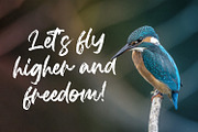 Agethsa - Textured Brush Font, a Script Font by StringLabs (Thumbnail 2 of 13)