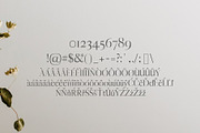 Myron Serif Fonts Family Pack, a Serif Font by Creativetacos (Thumbnail 3 of 5)