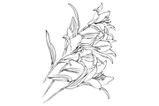 Lilies and Lotus Florals, an Object Graphic by VictoriaKStudio (Thumbnail 8 of 10)