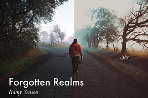 Forgotten Realms-4 Lightroom Presets