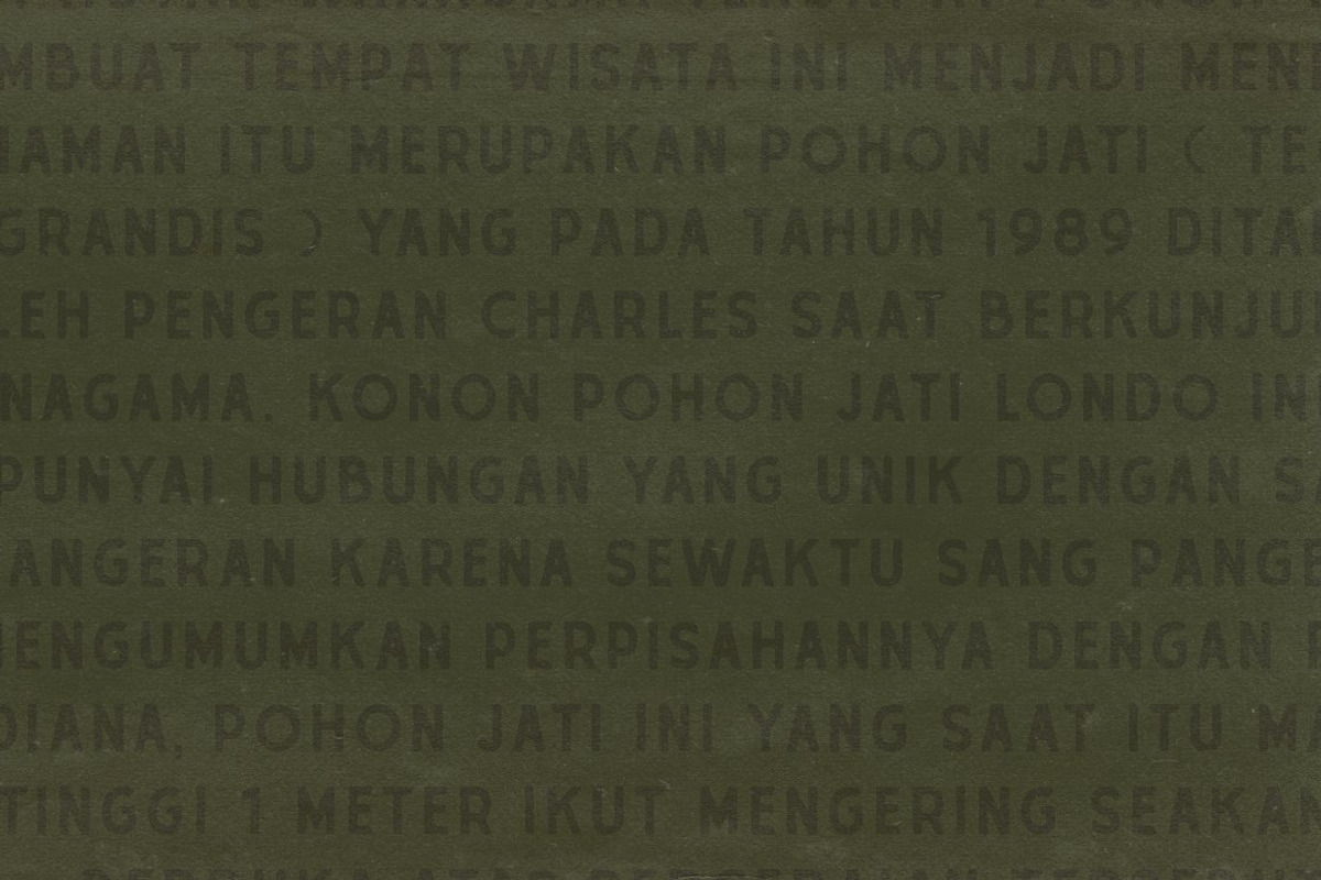 50% OFF Narto, Suhanto, & Kisna, a Font by Megflags (Photo 10 of 25)