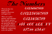 Bodoni Terracina Full Family 6 Fonts, a Script Font by California Type Foundry (Thumbnail 7 of 10)