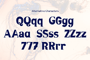 Mixoma, a Serif Font by Something & Nothing (Thumbnail 3 of 4)