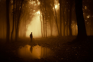 Haunted forest lake