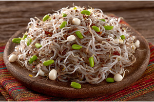 Fresh lentil and wheat sprouts mixed, a Food & Drink Photo by ZinetroN