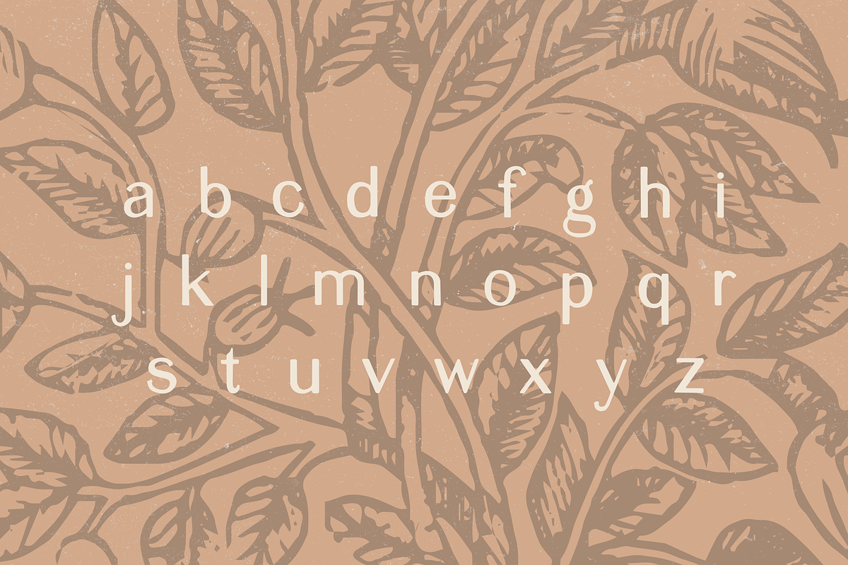 Elijah - Sans Serif Display Font preview 5