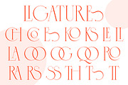 Cospiog - Modern serif font, a Serif Font by NuType (Thumbnail 7 of 9)