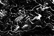 Wavy Paint, a Texture Graphic by Jennifer Lauren Creative (Thumbnail 16 of 20)