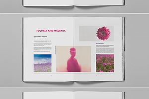 Magenta Studio Promo Brochure Layout