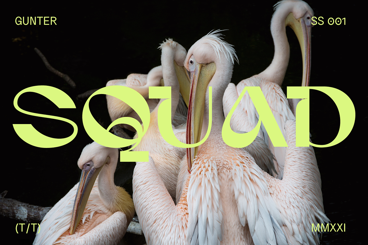Gunter Display Font, a Sans Serif Font by That That Creative (Photo 9 of 20)