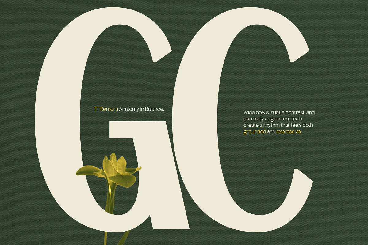 TT Remora – Modern Sans Display, a Sans Serif Font by truetype (Photo 6 of 15)