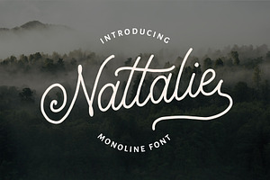 Nattalie Monoline Font, a Script Font by Analogous
