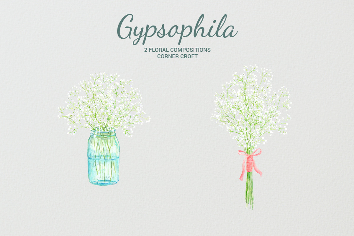 Watercolor Gypsophila Baby's Breath, an Illustration by Corner Croft (Photo 3 of 7)