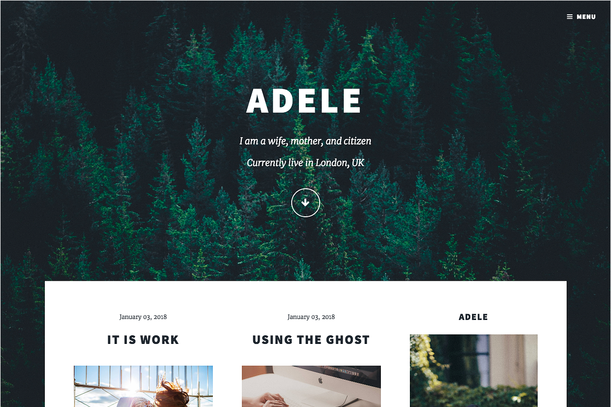 All Bundle Themes at Malvouz, a Websites & App Template by Malvouz (Photo 2 of 2)