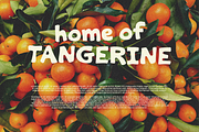 Laconuts Playful Font, a Handwritten Font by 24Design Studios (Thumbnail 6 of 10)