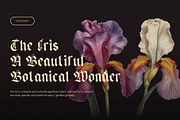 Engourdi Blackletter Font, a Blackletter Font by Heinzel Std (Thumbnail 3 of 18)