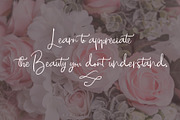 Springfield Font Duo, a Script Font by Chocotype Std (Thumbnail 5 of 12)