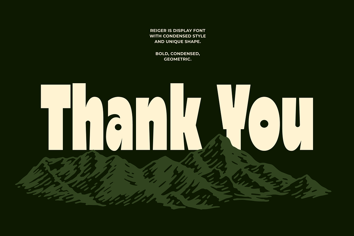 Reiger - Bold Condensed Font, a Sans Serif Font by limitype (Photo 11 of 11)
