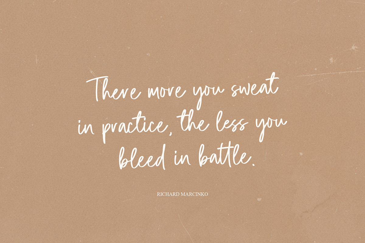 Silver Brown Casual Script Font, a Script Font by Heinzel Std (Photo 3 of 11)