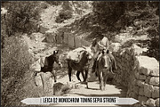 Authentic Sepia LUTs - Version 2, a Plug-in Add-On by Raztrend (Thumbnail 18 of 30)