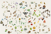 Big Life Cycle Bundle, an Education Illustration by Tati Bordiu (Thumbnail 2 of 43)