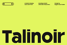 Talinoir - Bold Modern Sans Font