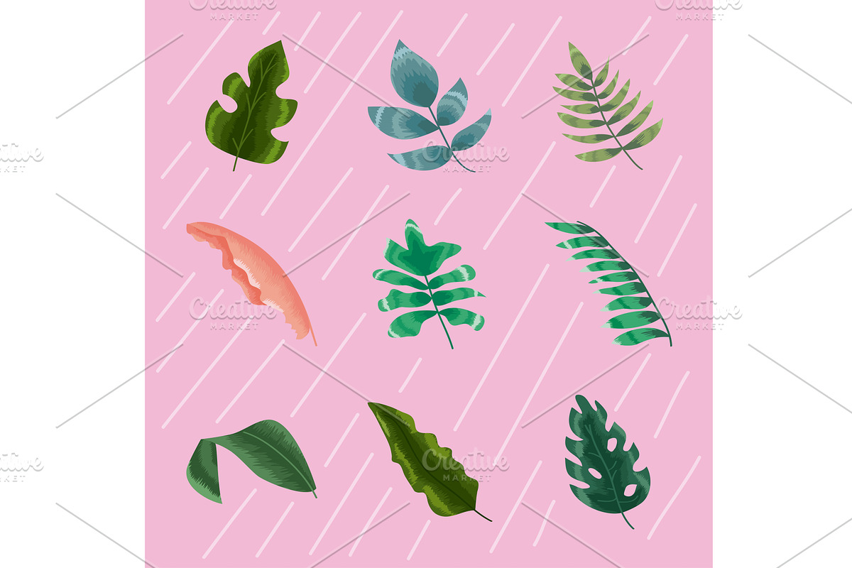 nine tropical leafs icons, an Illustration by studiogstock