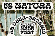 MC Natura, a Serif Font by McLetters (Thumbnail 1 of 8)