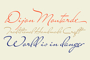 Miss Stanfort Pro, a Script Font by Sudtipos (Thumbnail 2 of 5)