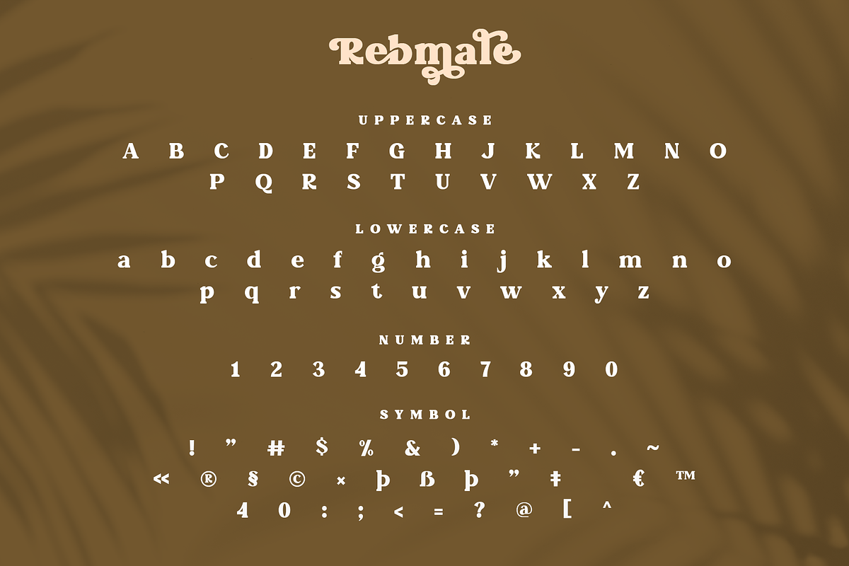 Rebmale Modern Serif, a Serif Font by Moodtype (Photo 6 of 7)