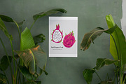 Tropical vector pattern. Dragonfruit, a Pattern Graphic by MalinaShop (Thumbnail 5 of 5)