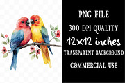 Watercolor Birds Png Bundle, an Illustration by Designking (Thumbnail 4 of 5)