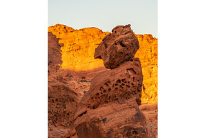 Dramatic aztec sandstone formation, an Animal Photo by Backyard Stock