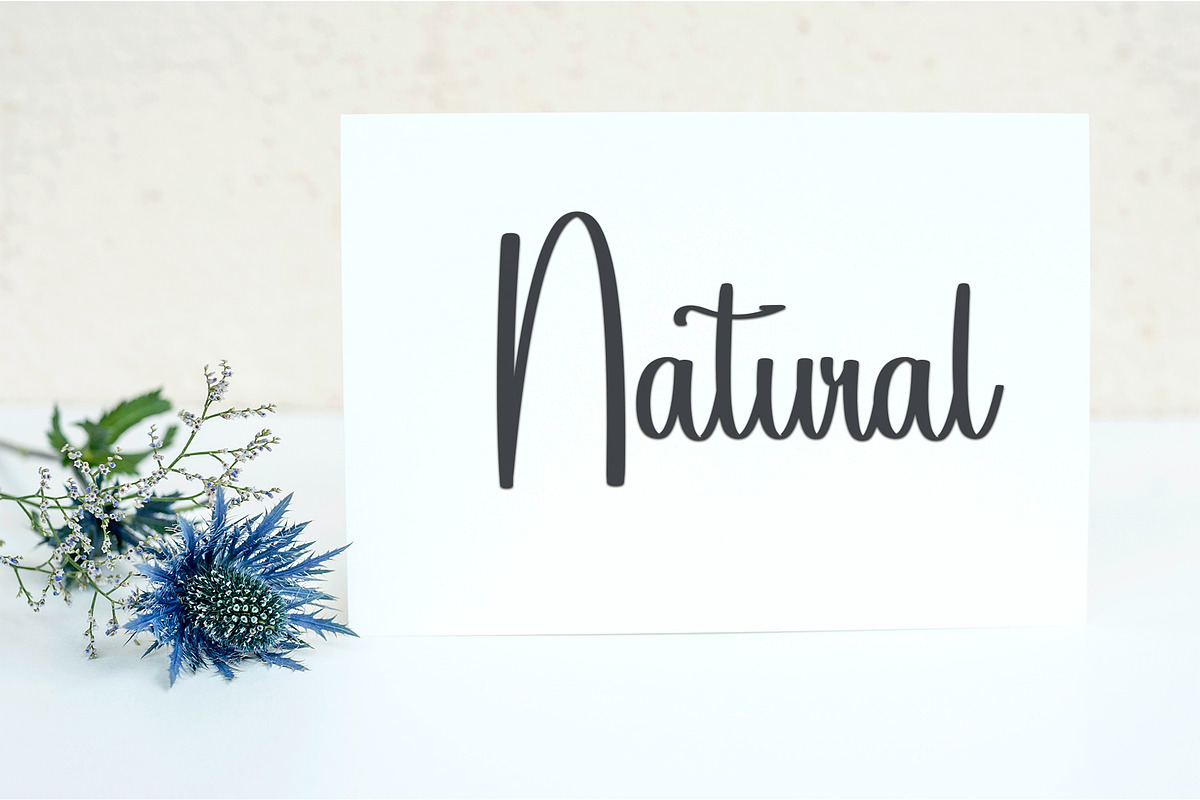 Adventure, a Handwritten Font by FreshTypeINK (Photo 2 of 7)