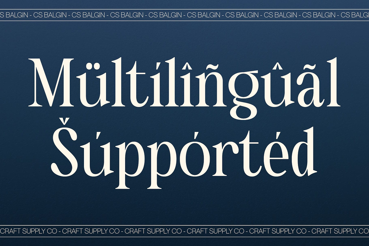 CS Balgin – Classic Font, a Serif Font by Craft Supply Co. (Photo 5 of 8)