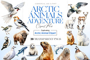 Arctic Animals Adventure, an Animal Illustration by BrushstrokeArtGB (Thumbnail 1 of 9)