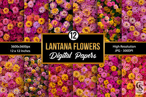 Pink Summer Lantana Flowers Pattern, a Pattern Graphic by Creative Store