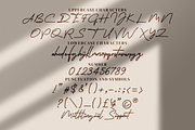 Alatheen Monoline Script style font, a Script Font by mahstudios (Thumbnail 5 of 8)