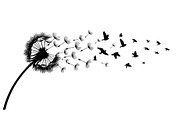 Dandelion Blow Silhouette Bundle, an Illustration by yasushie (Thumbnail 13 of 31)