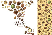 Hard nut graphic design set, a Food Illustration by handsketched (Thumbnail 11 of 18)